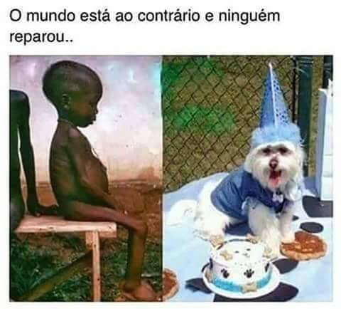 15977663_1509406115788403_2934734974709806205_n.jp