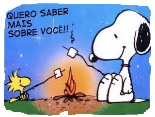 conhecer papagaio blogs posts.jpg