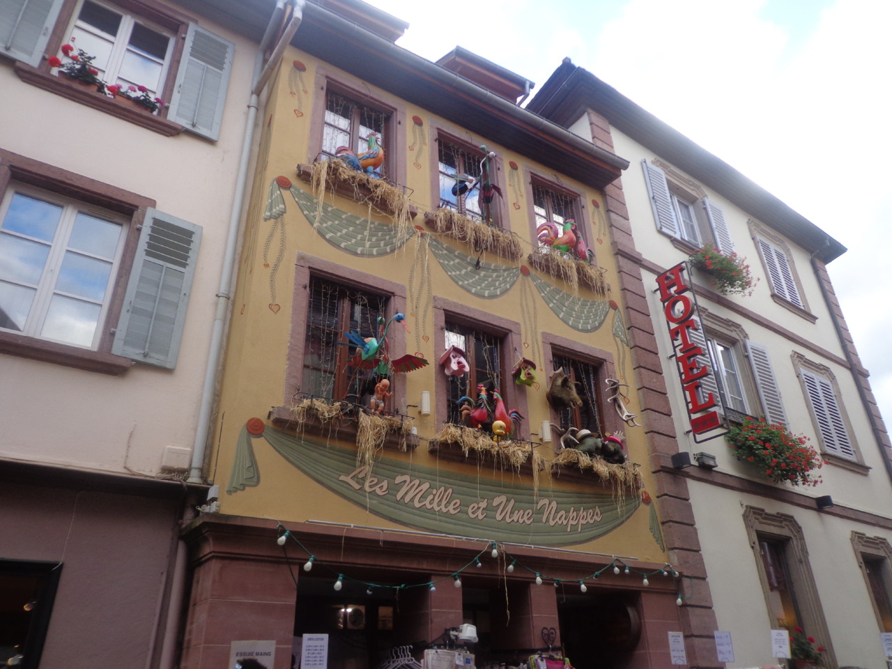 DSC06576.JPG DSC06576.JPG