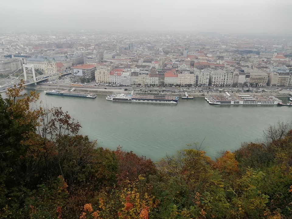 74487313_2523121784440124_3858250842339540992_n.jp 74487313_2523121784440124_3858250842339540992_n.jp