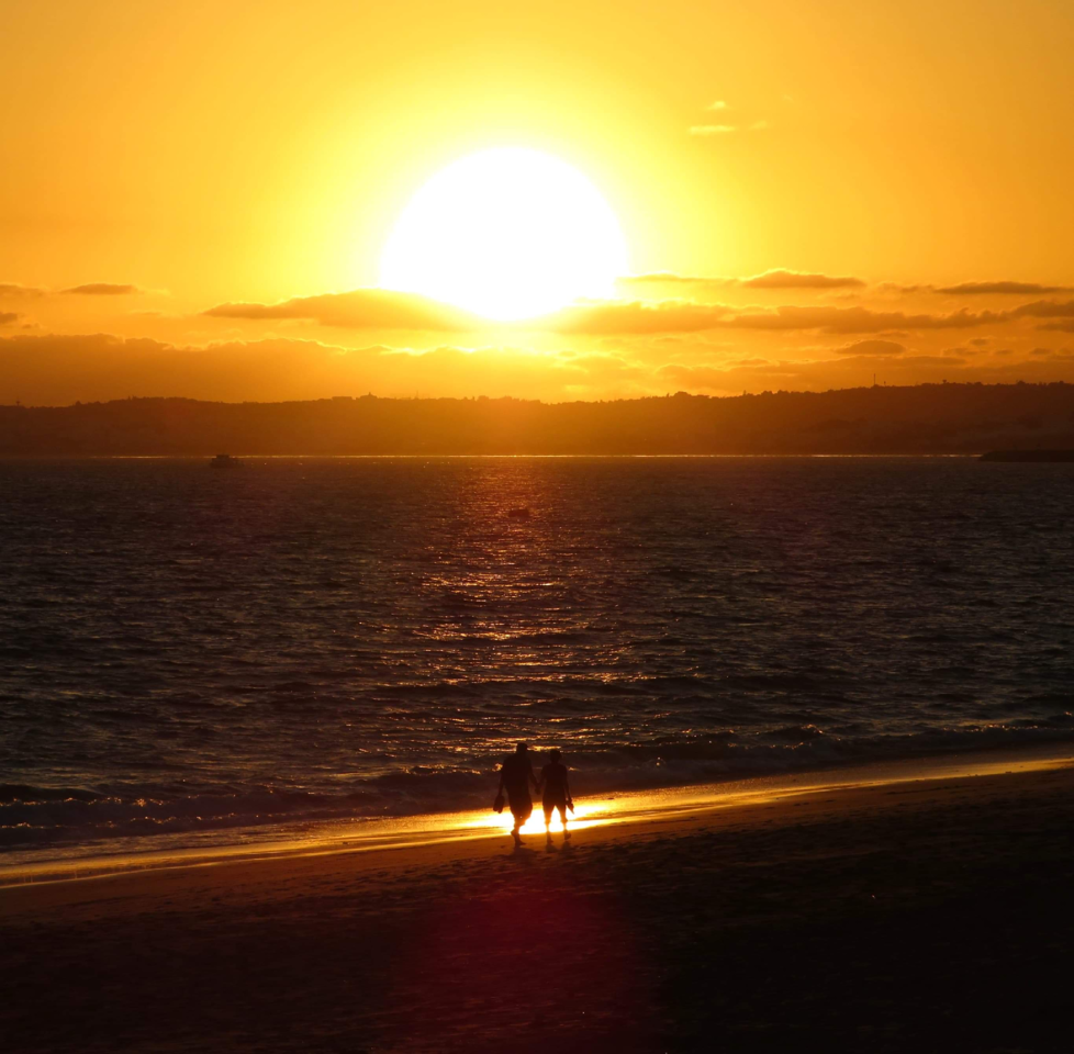 222AAE95-B597-4AEE-BC4A-543B39044CE4.png 222AAE95-B597-4AEE-BC4A-543B39044CE4.png