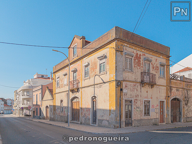 Jul_2023_033 650px.jpg