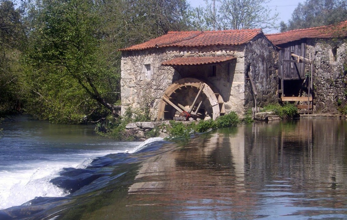 Azenha-Amaro Rodrigues-1.jpg Azenha-Amaro Rodrigues-1.jpg