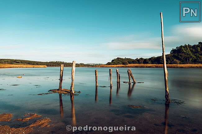 Out_2021_020a 650px.jpg