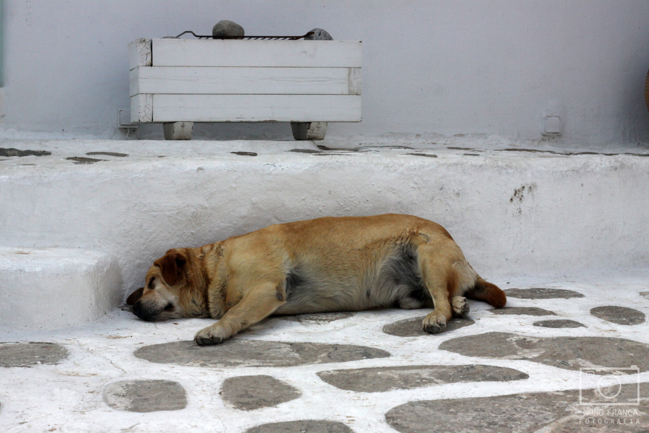 IMG_5825_net.jpg IMG_5825_net.jpg