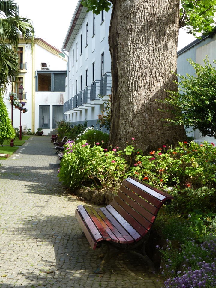 Angra - Jardim Duque da Terceira (36).JPG