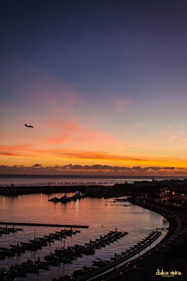 PDL Dulce Vieira.jpg