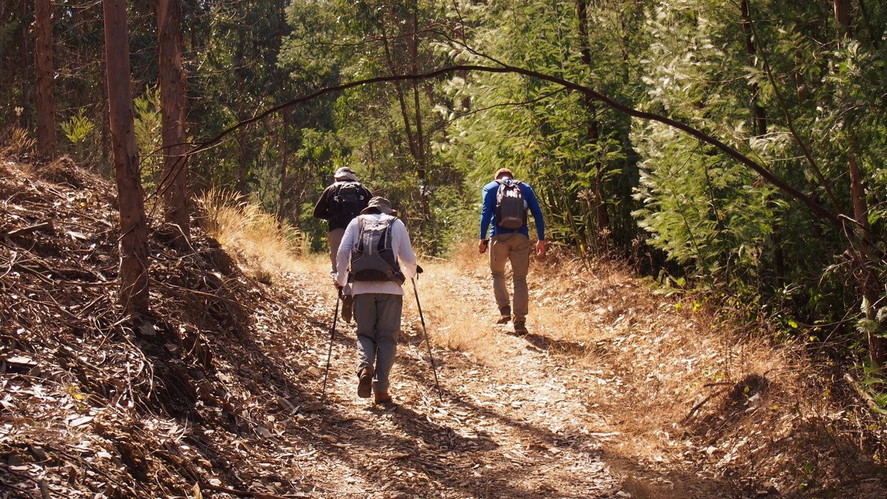 21753225_1799091673437584_2301105023697738182_o.jp