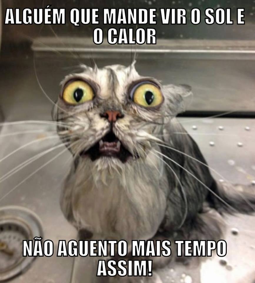 memes de chuva e frio