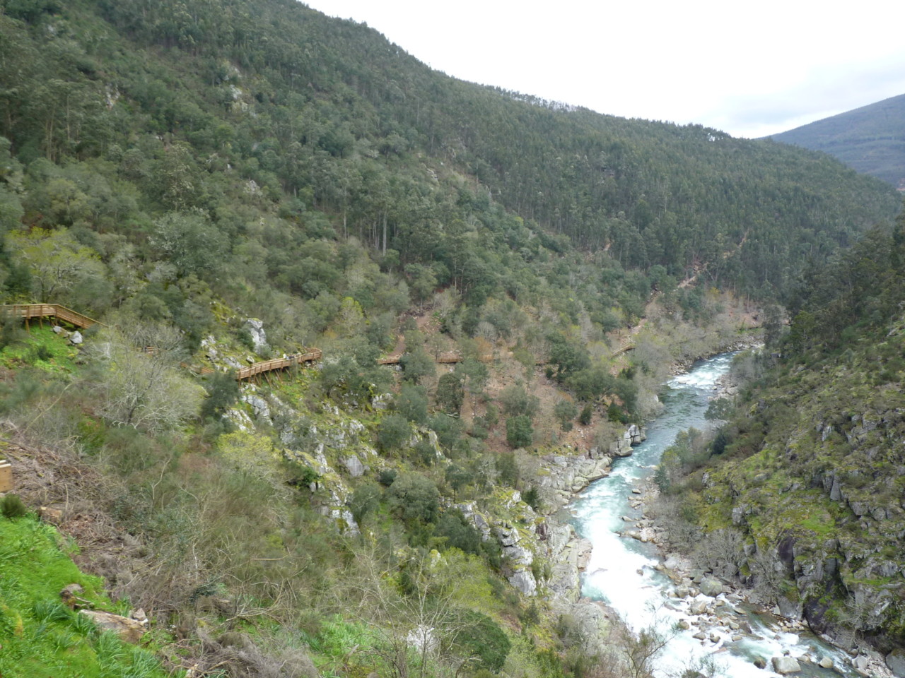 Paiva (9).JPG Paiva (9).JPG