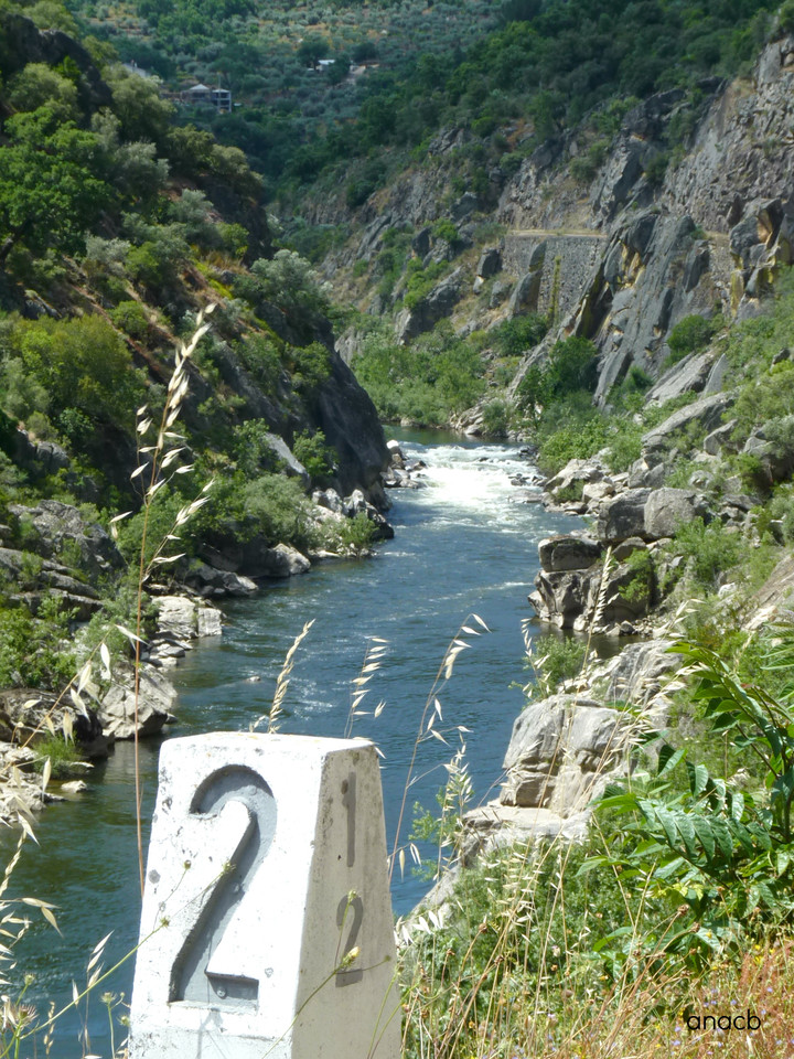 Passeio na antiga linha do Tua, Junho 2016