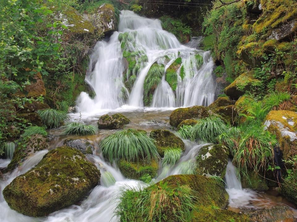 PGTA Correr na Cidade (4).jpg PGTA Correr na Cidade (4).jpg