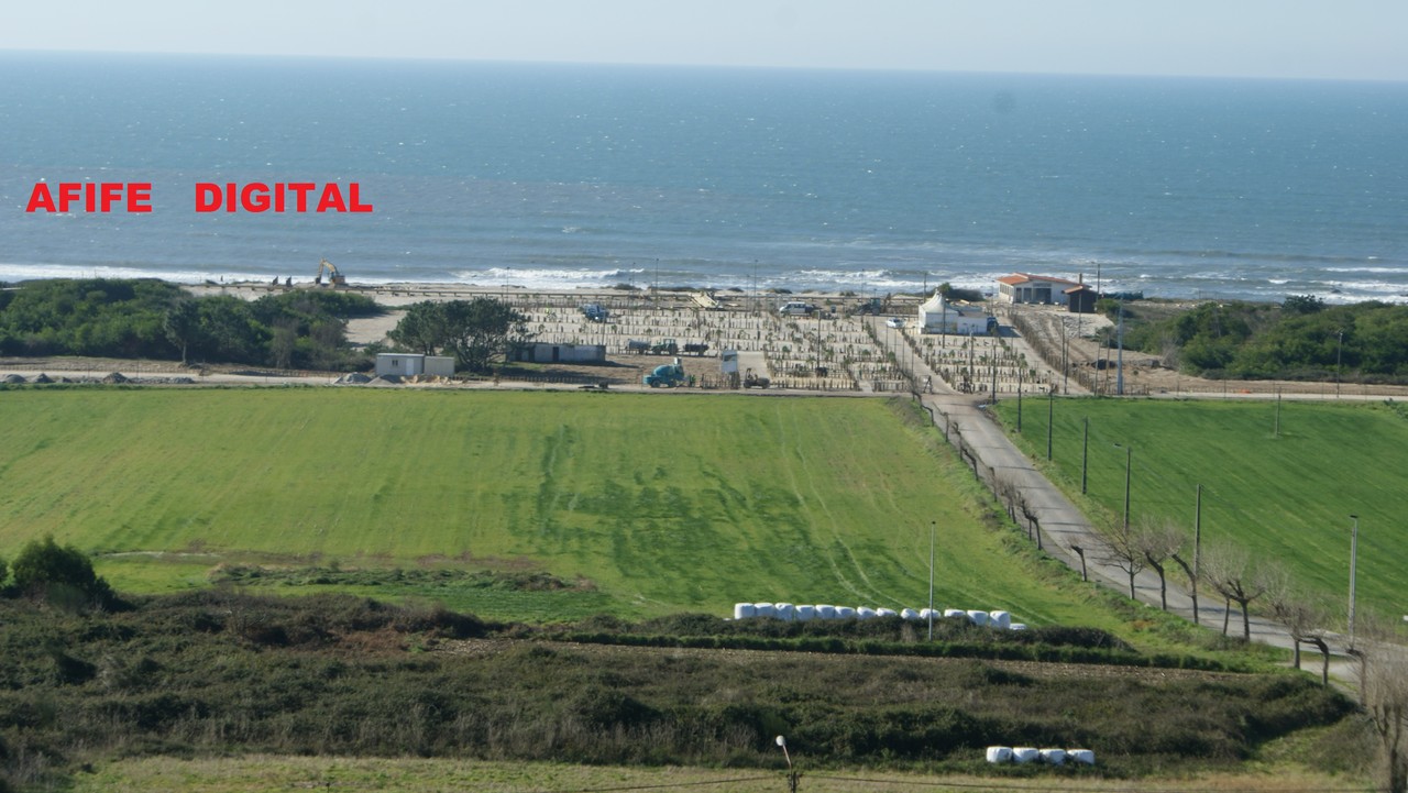 DSC06679.JPG DSC06679.JPG