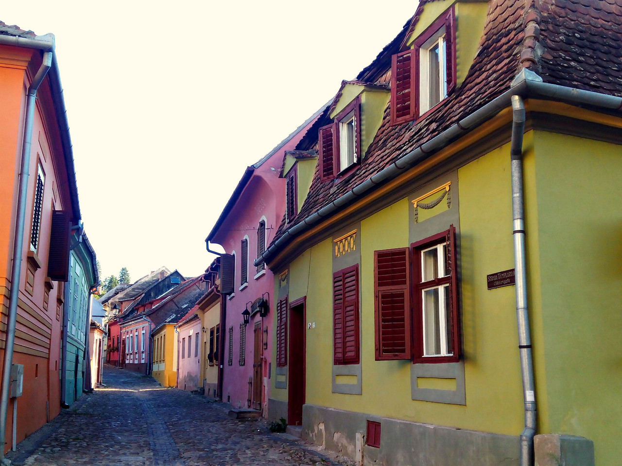 Sighisoara 1.jpg