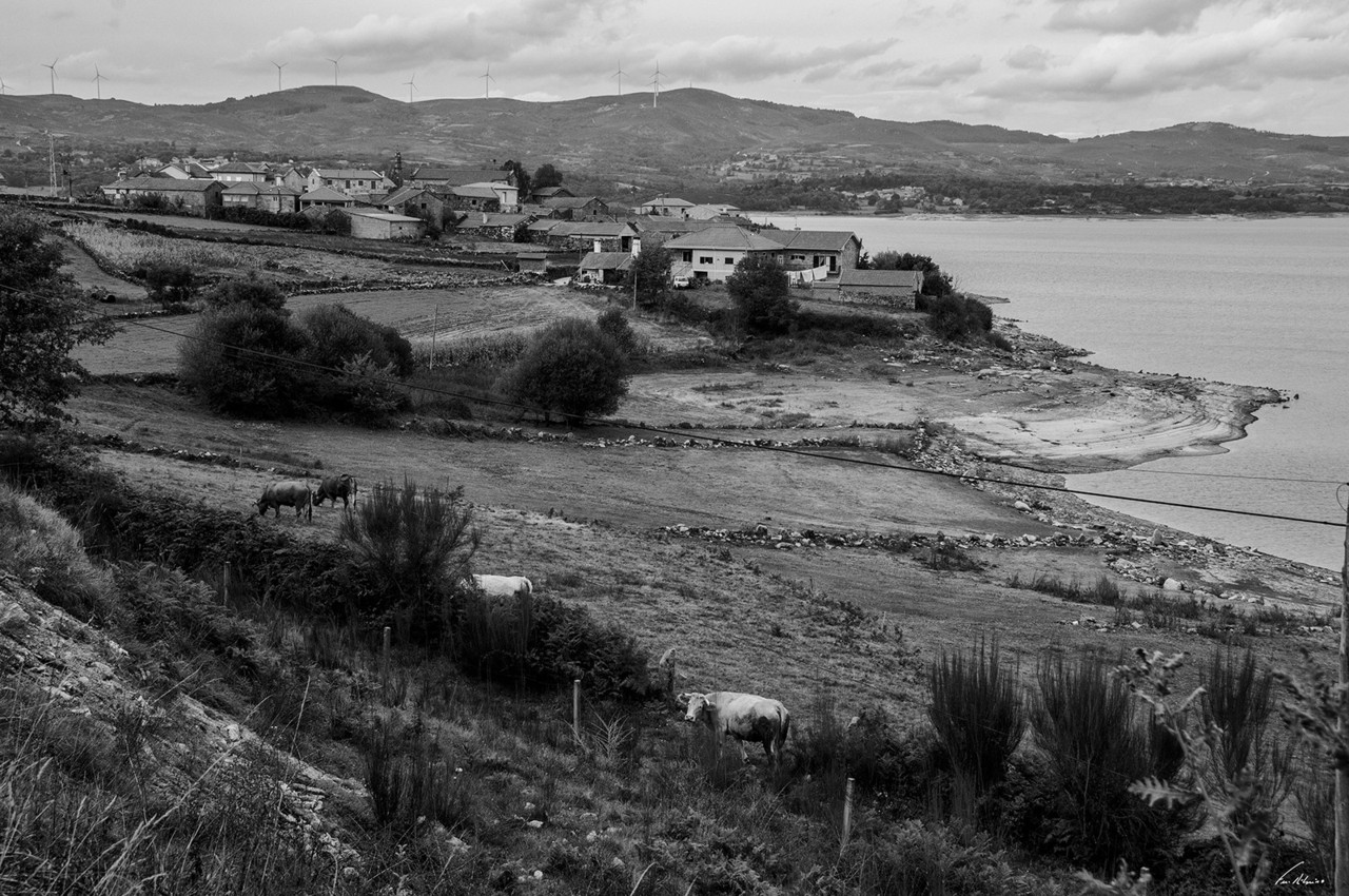 1600-negroes (4).jpg