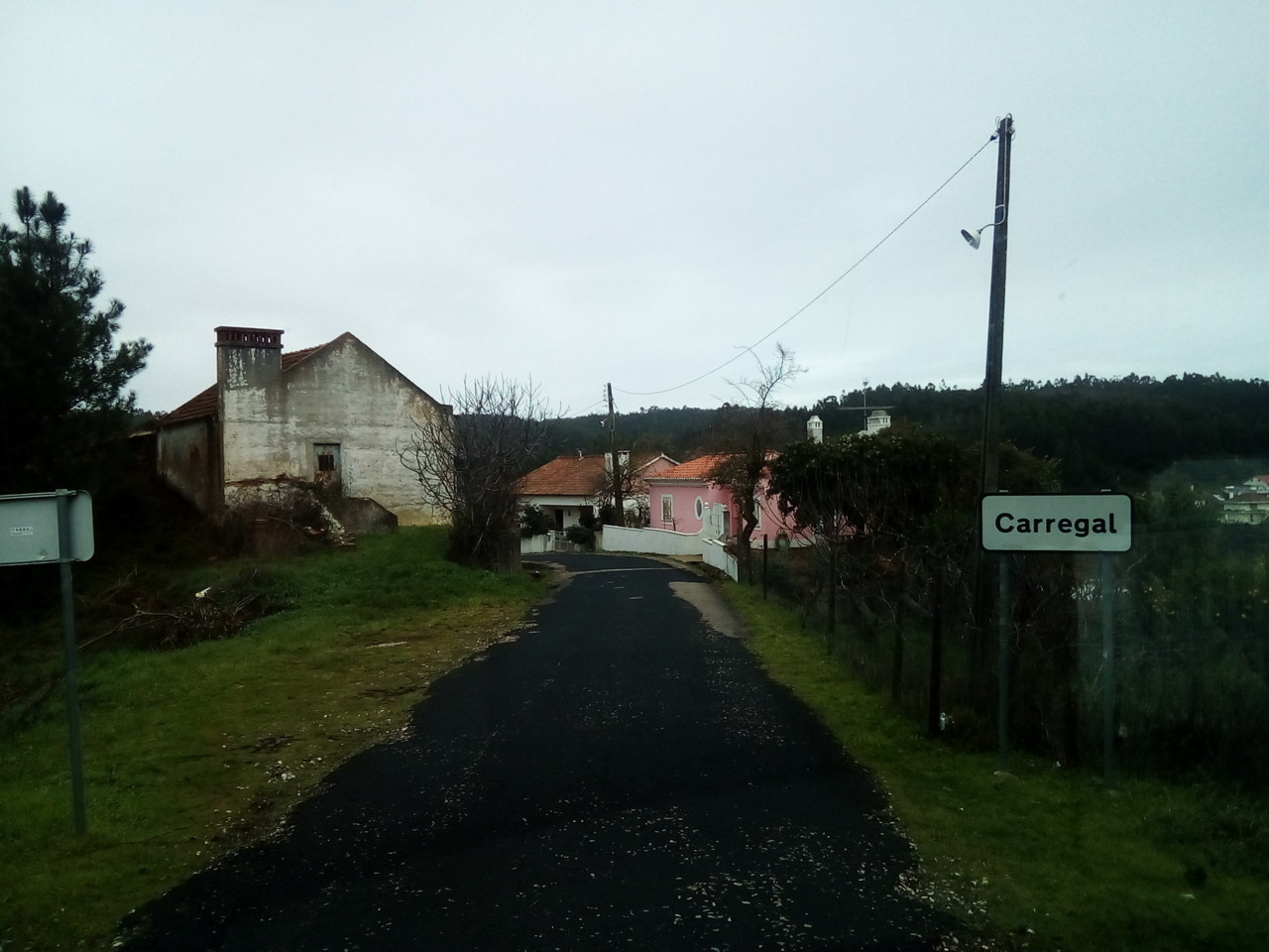 IMG_20190130_103120.jpg IMG_20190130_103120.jpg