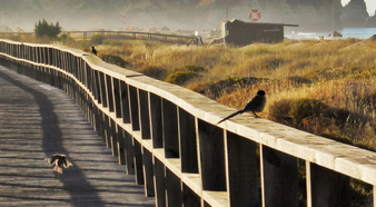 Captura de ecrã 2022-05-26, às 09.08.33.png