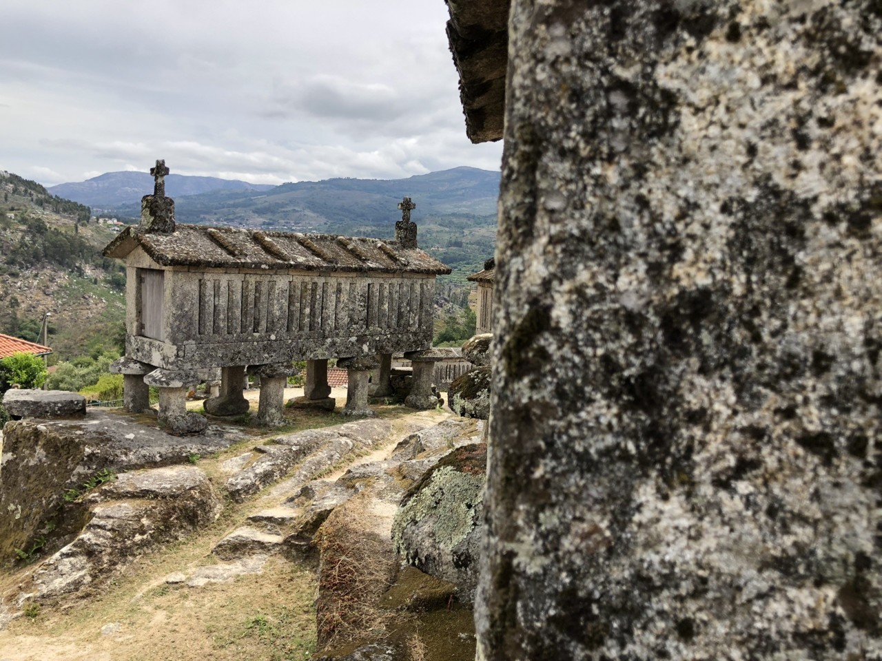 IMG_0796.JPEG IMG_0796.JPEG