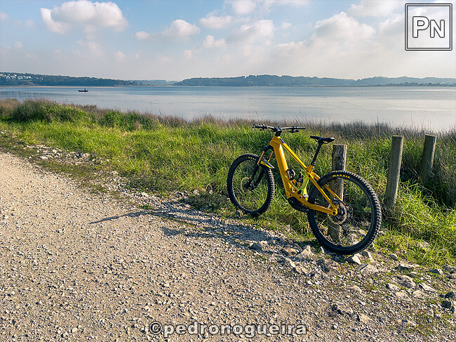 Jan_2025_017 650px.jpg