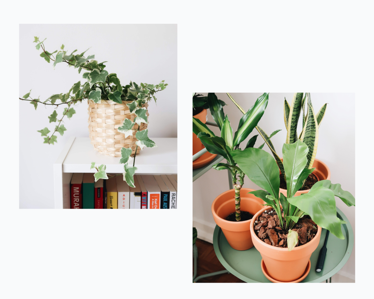 PLANTAS-CASA-1.png PLANTAS-CASA-1.png