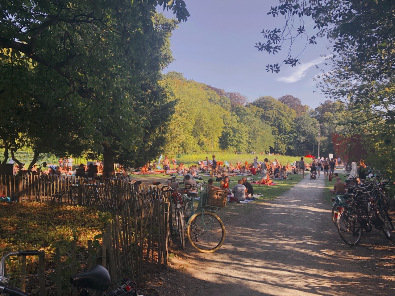 zwemvijver-boekenberg-deurne