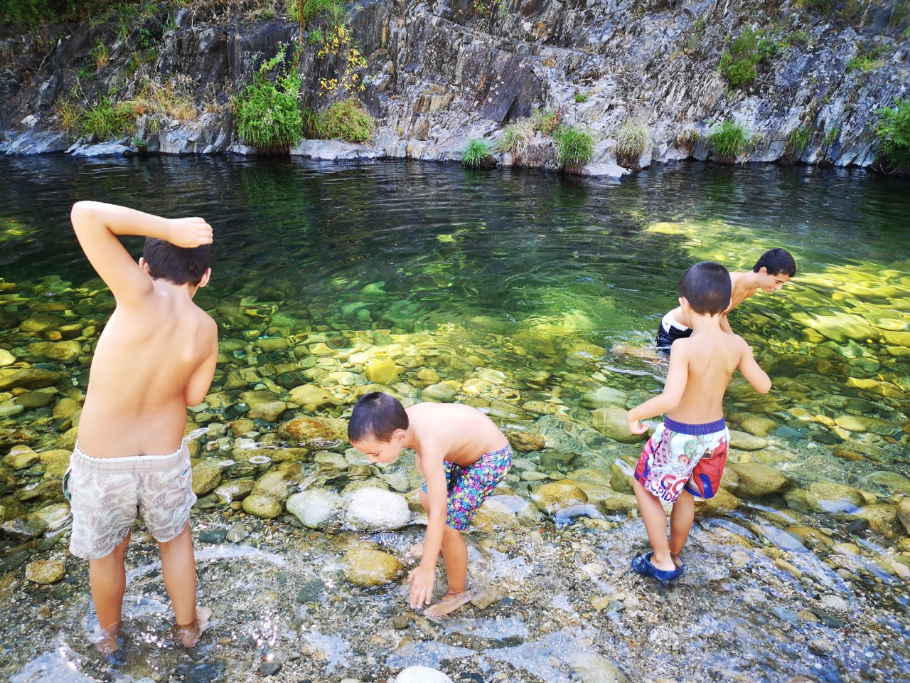 IMG_20200804_162532.jpg IMG_20200804_162532.jpg