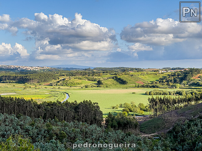 Mai_2025_015 650px.jpg