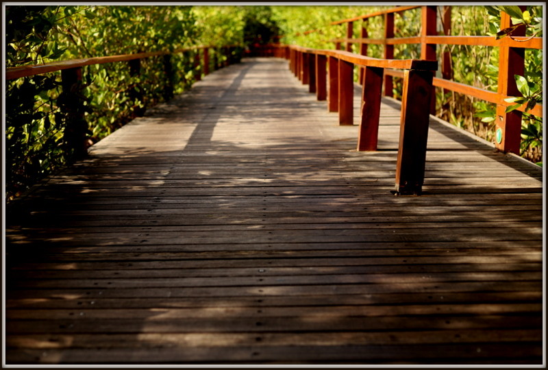 IMG_0788.JPG IMG_0788.JPG