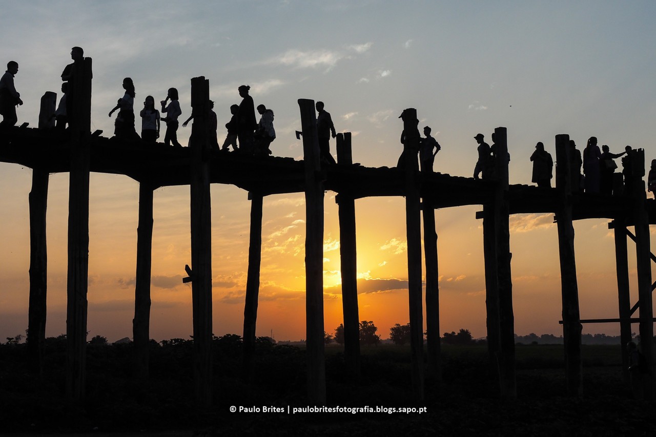 DSC_10844 - Inia-1-2.jpg