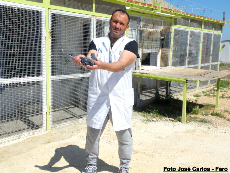 Derby Faro 2017 003.jpg