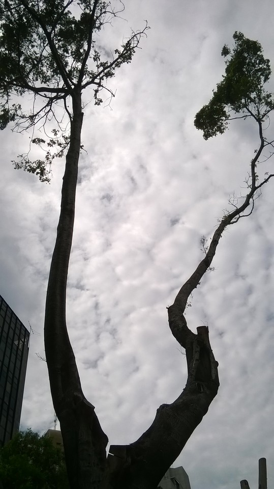 WP_20151212_008.jpg WP_20151212_008.jpg