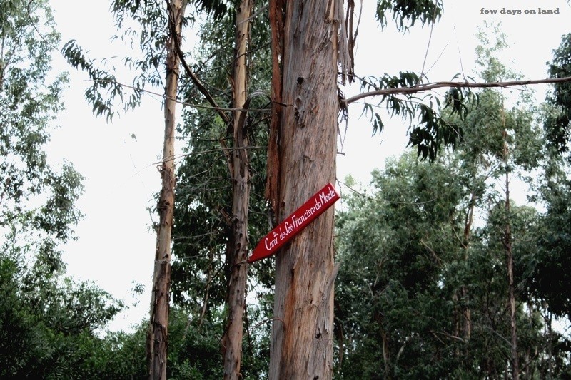 convento_sao_francisco (1).JPG