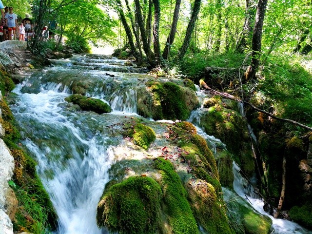 Plitvice1.jpg Plitvice1.jpg