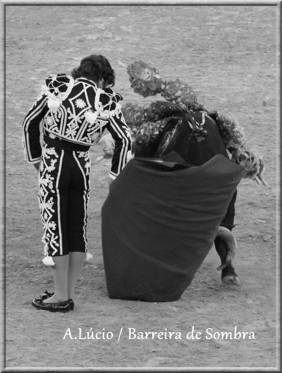 IMG_6616.JPG IMG_6616.JPG