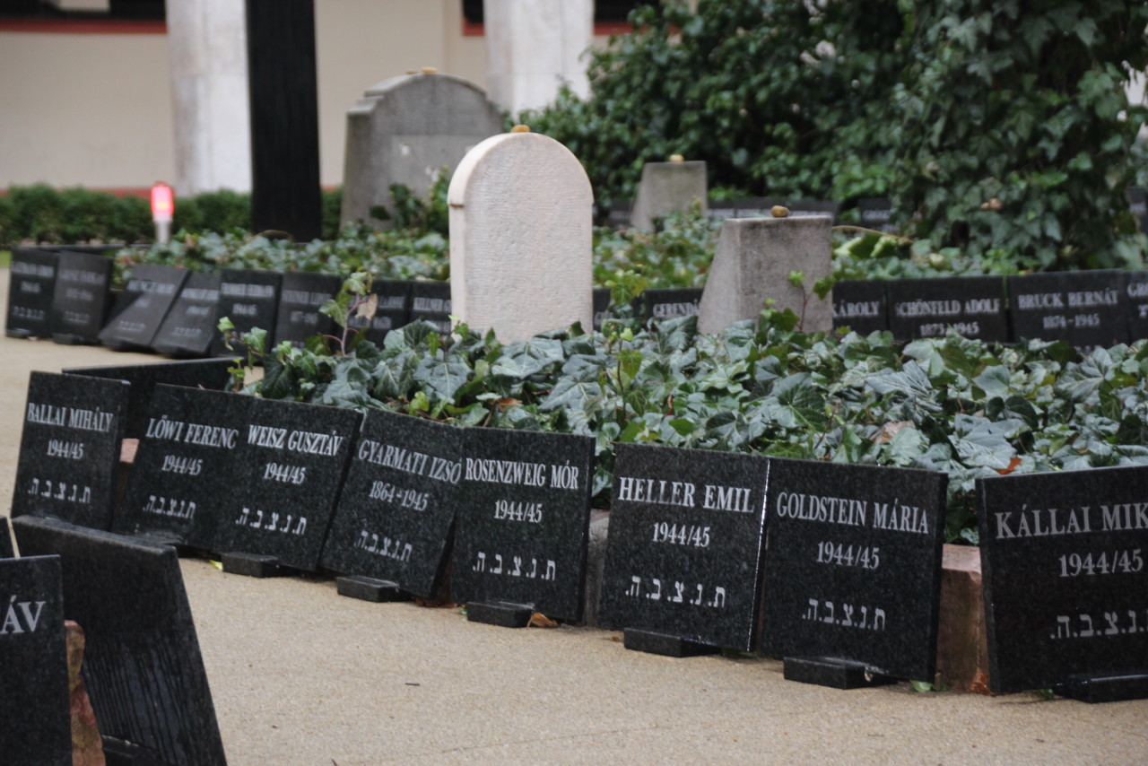 IMG_2290.JPG IMG_2290.JPG