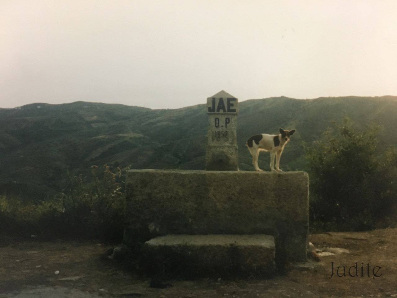 IMG_0225.jpg IMG_0225.jpg