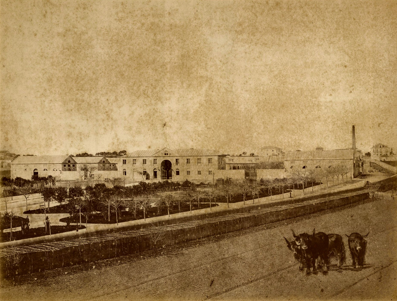 Matadouro Municipal, Lisboa (H. Nunes, 1868-81)