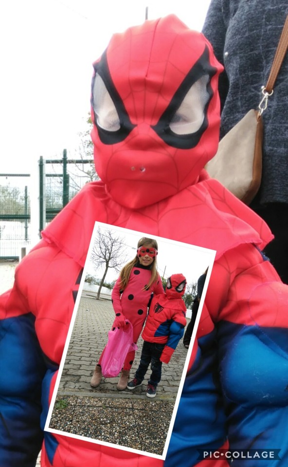 Collage 2018-02-13 13_25_30.jpg