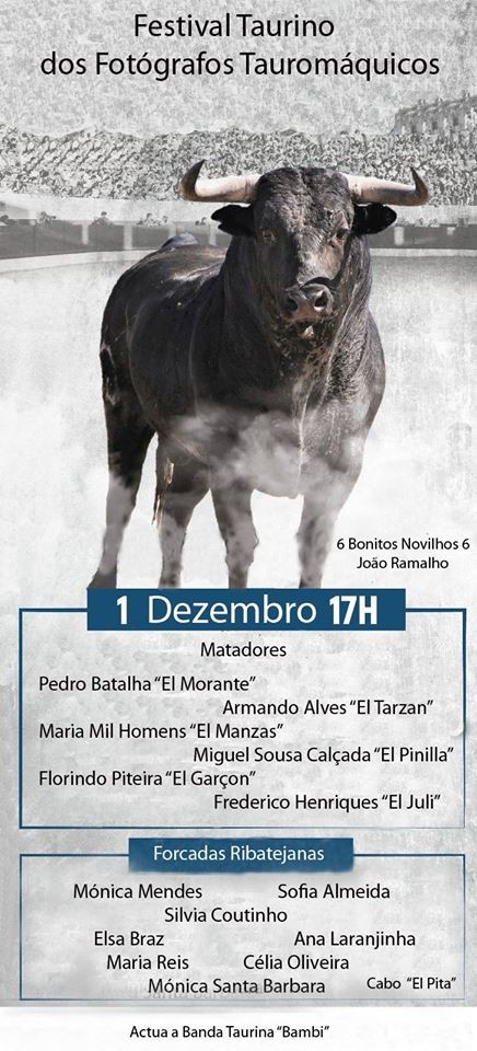 festival dos fotógrafos.jpg