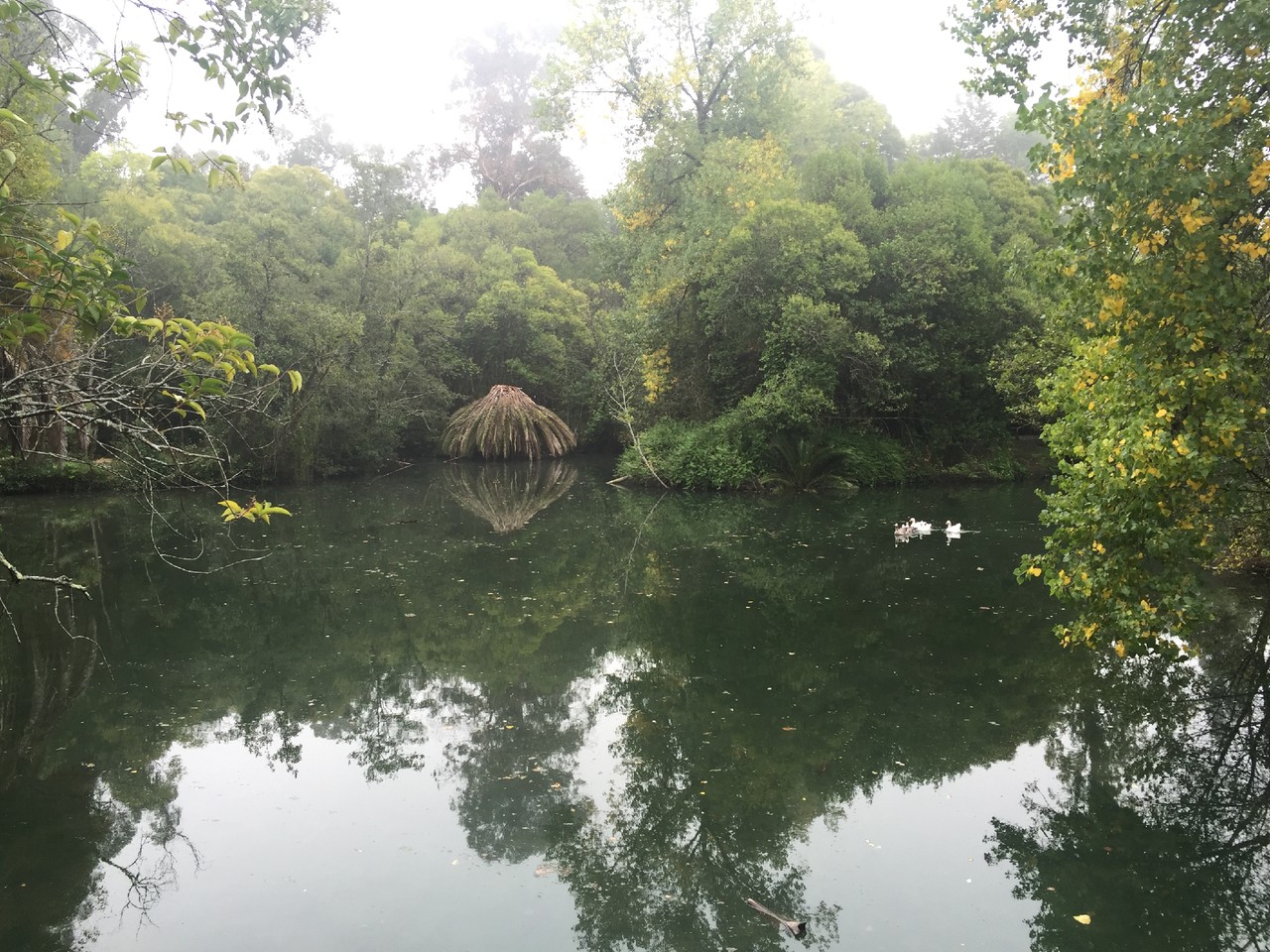 Termas da Curia Spa Resort
