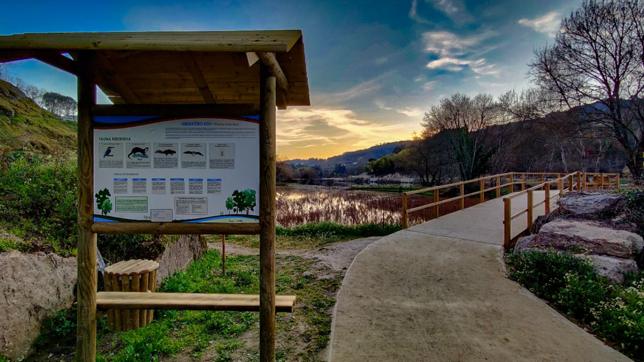Trilhos dos Castanheiros miradouro.jpg