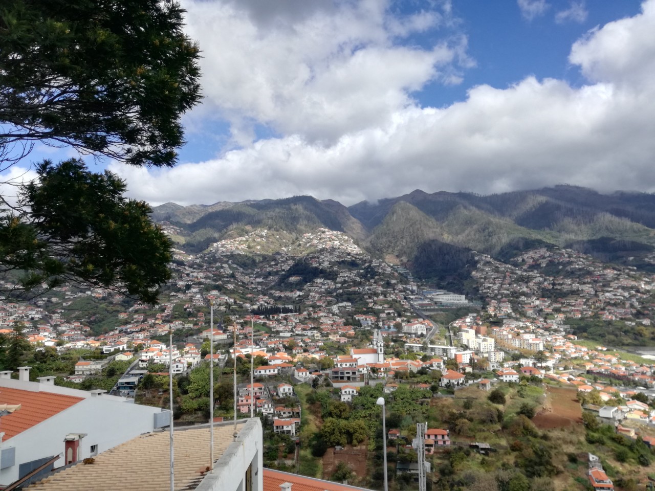 IMG_20190317_115403.jpg IMG_20190317_115403.jpg