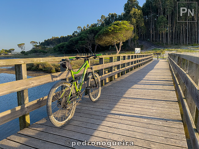 Out_2024_005 650px.jpg