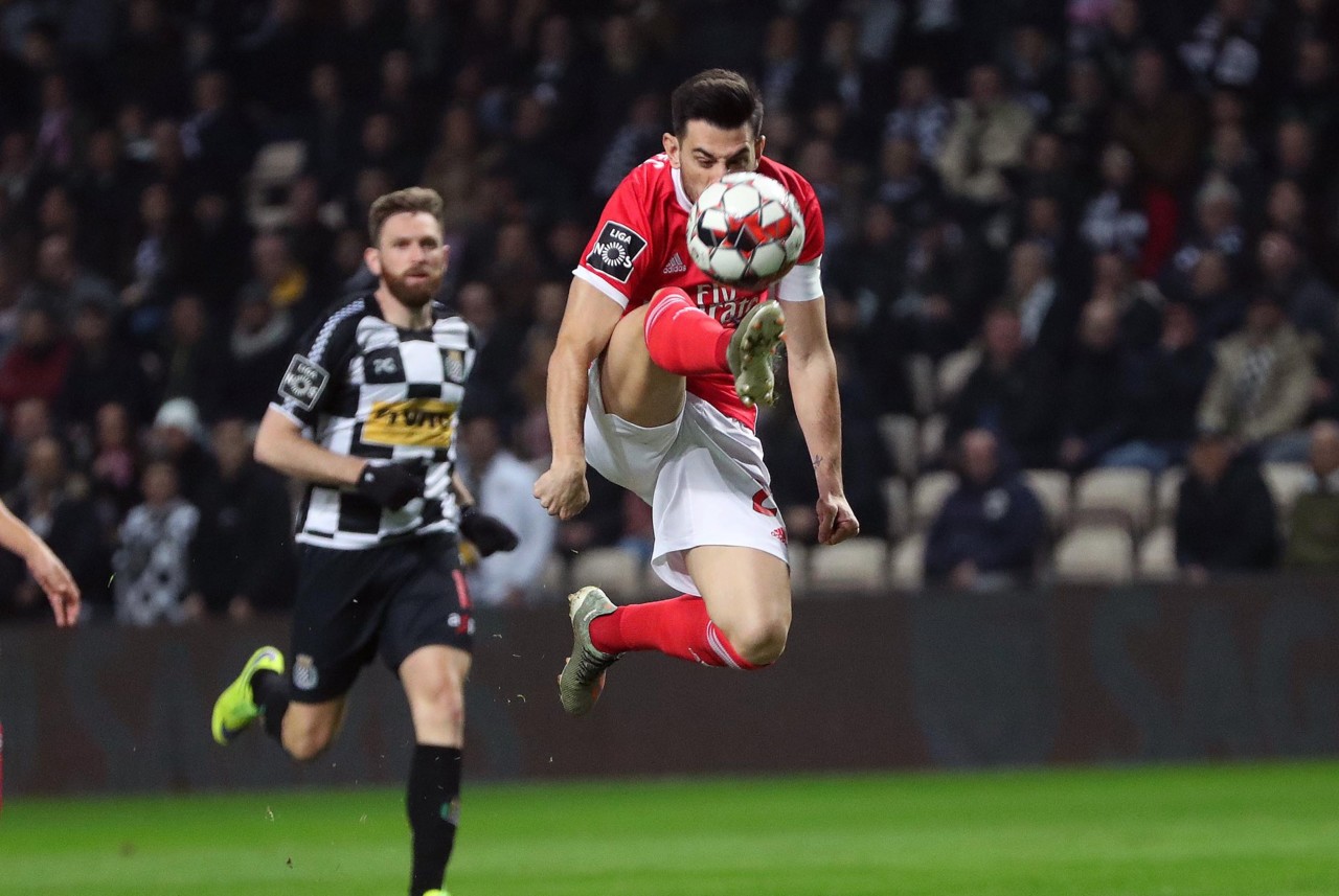 79297647_10162721279745716_8805597338157449216_o.j