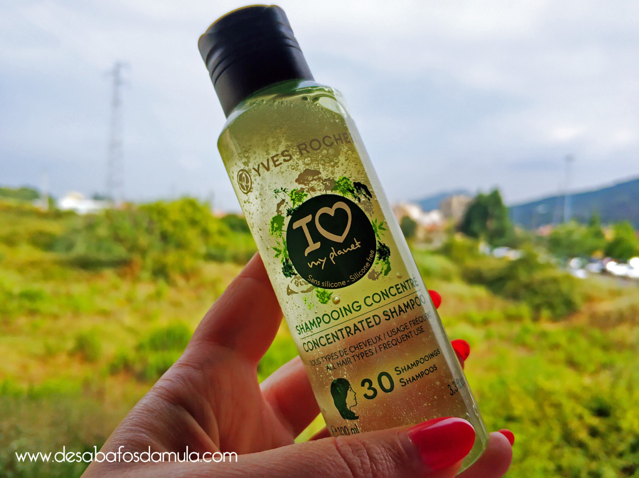 IMG_20180711_172857.jpg IMG_20180711_172857.jpg