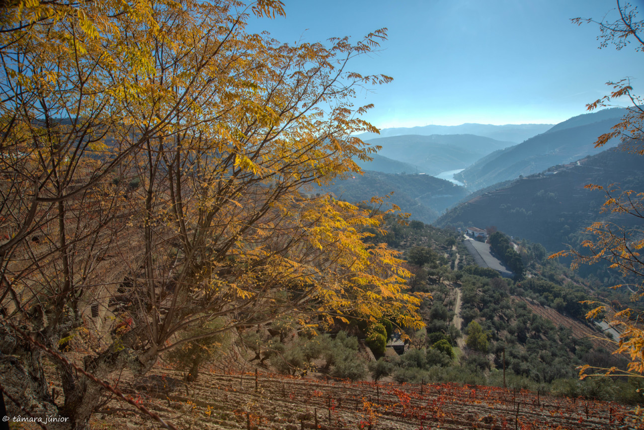 2017.- Pelo Douro no outono II (496).jpg 2017.- Pelo Douro no outono II (496).jpg