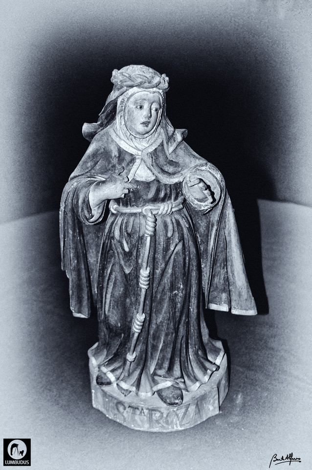 DSC_5072_Selenio-StaRoza.jpg