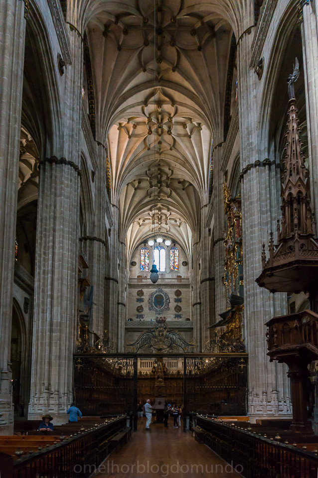 DSC02985.jpg DSC02985.jpg