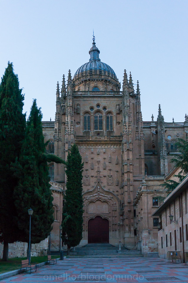 DSC02922.jpg DSC02922.jpg