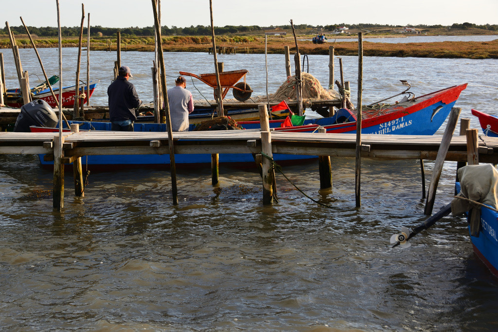 DSC_2919_01_00013.jpg DSC_2919_01_00013.jpg